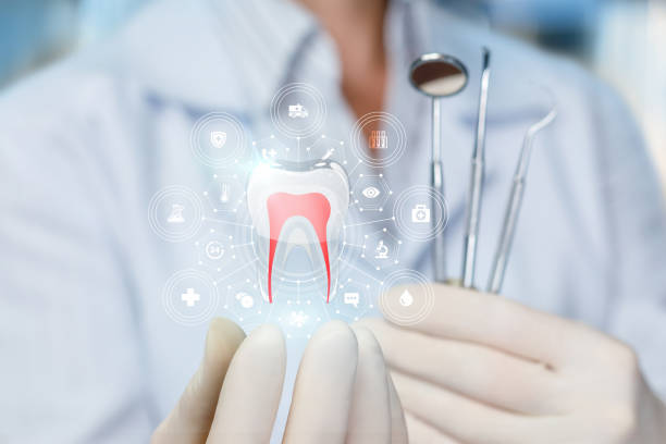 Trusted Hillsboro, ND Holistic Dental Care Services Experts